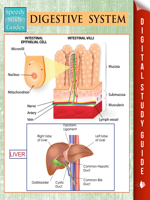 Title details for Digestive System by Speedy Publishing - Available